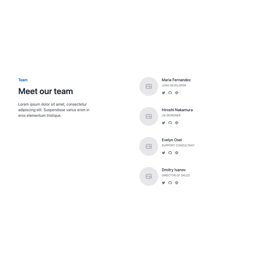 Visual preview of Team component for Bubble