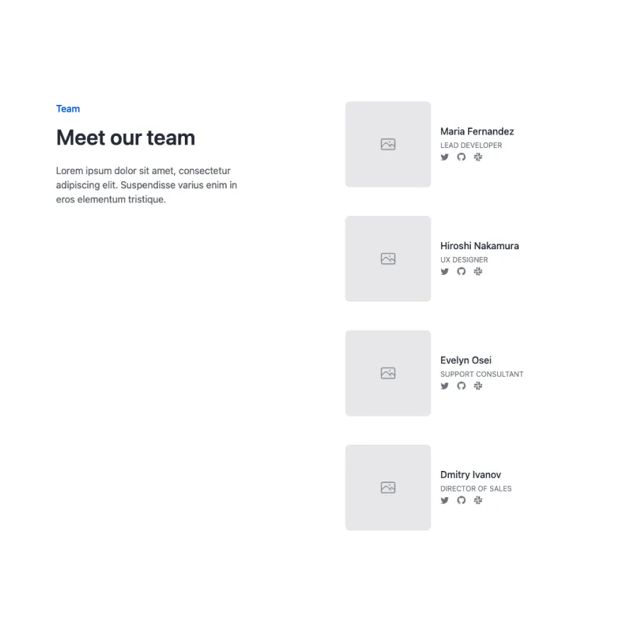 Visual preview of Team component for Bubble