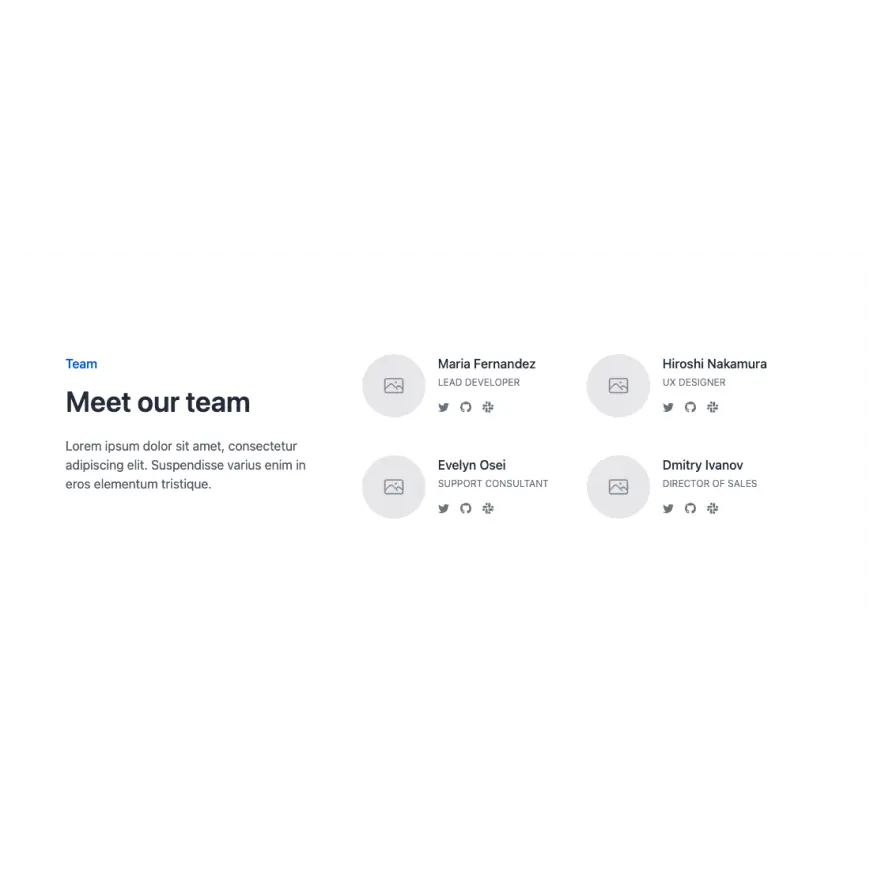 Visual preview of Team component for Bubble