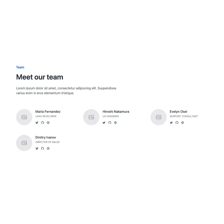 Visual preview of Team component for Bubble